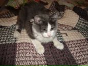 Фотография Макеевой Ксении