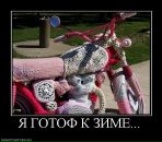 Фотография Тоньшева Сергея