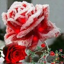 Ірина Бобиль фотография #33 (источник - https://vk.com/id22785421)