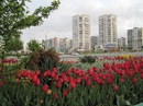 Маха Швили фотография #3 (источник - https://vk.com/id2097)