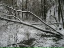 Ігор Панасенко фотография #46 (источник - https://vk.com/id30625196)