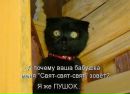 Ангеліна Ром фотография #47 (источник - https://vk.com/id77410177)