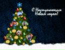 Нестор Зарічний фотография #3 (источник - https://vk.com/id87817644)