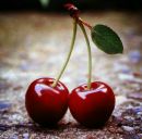 Юлія Ганжа фотография #34 (источник - https://vk.com/id168453202)