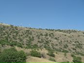 Пабло Пых фотография #50 (источник - https://vk.com/id1205765)