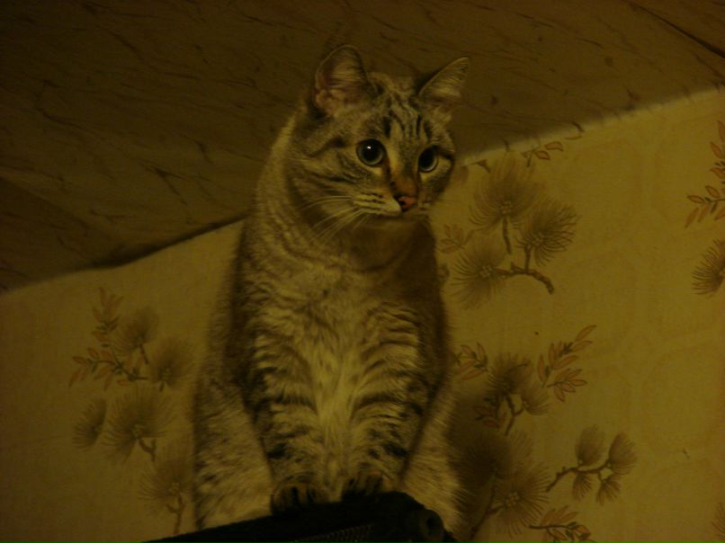 Игорь Огородников фотография #19