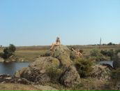 Фотография Метельковой Нины