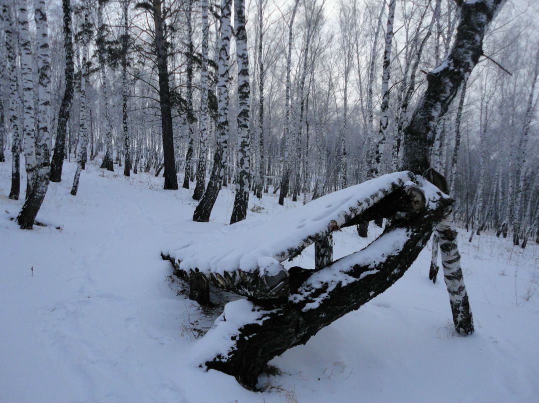 Михаил Маценко фотография #21