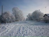 Міша Симонович фотография #19 (источник - https://vk.com/id112931560)