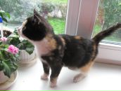 Любовь Духанова фотография #22 (источник - https://vk.com/id5068523)