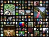 Діана Скраль фотография #45 (источник - https://vk.com/id64212329)