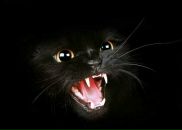 Фотография Поникаровской Марины