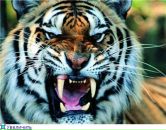 Фотография Малининой-Казак Ольги