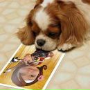 Фотография Сытдикова Альберта