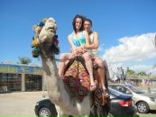 Фотография Panchenko Timofey