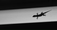 Михаил Юдаков фотография #48 (источник - https://vk.com/id96331328)