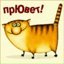 Фотография Миненко Евгения