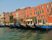 Фотография Скакун Соколовой Марии