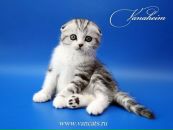 Фотография Дедеулевой Елены