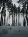 Антоха Плотников фотография #16 (источник - https://vk.com/id125665)