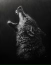 Сергій Росада фотография #50 (источник - https://vk.com/id150362314)