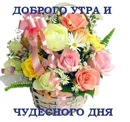 Анюта :) фотография #24 (источник - https://vk.com/id143393966)
