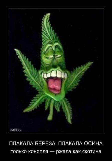 Just Michael фотография #23