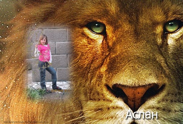 Н@дюшеньк@ Визнер фотография #12