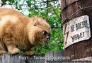 Вова Федінчик фотография #37 (источник - https://vk.com/id167941918)