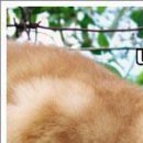 Вітя Бурмей фотография #18 (источник - https://vk.com/id143562390)