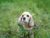 Юлік Боянівський фотография #25 (источник - https://vk.com/id56705213)