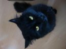 Mi Lost фотография #34 (источник - https://vk.com/id2109388)