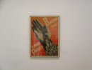 Douglas Murray фотография #46 (источник - https://vk.com/id1078348)