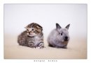 Masha Serada фотография #47 (источник - https://vk.com/id9065757)
