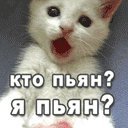 Вася Залюбівський фотография #39 (источник - https://vk.com/id63271386)