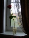 Фотография Бородиной Татьяны