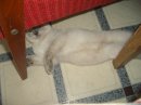 Виктор Бородин фотография #33 (источник - https://vk.com/id2552884)
