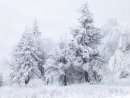 Вітя Гресь фотография #37 (источник - https://vk.com/id18756815)