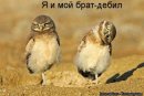 Ігарь Львов фотография #1