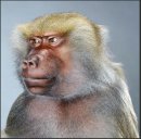 Дани Бух фотография #38 (источник - https://vk.com/id2226777)