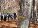 Вікторія Думанська фотография #12 (источник - https://vk.com/id1672875)