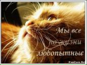 Фотография Поповой Анфисы