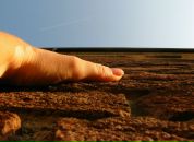 Фотография Пинес Натальи