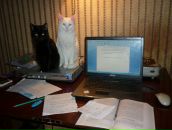 Фотография Сухомлиновой Алены