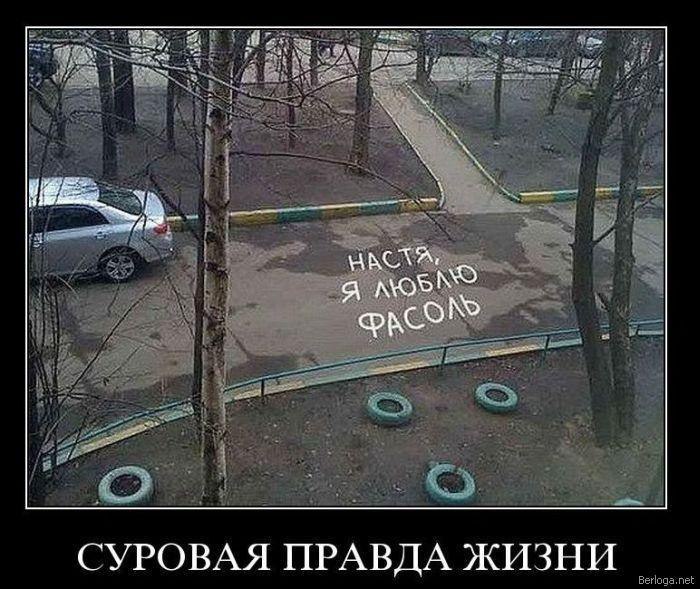 Женя Давиденко фотография #13
