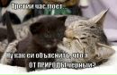 Василь Швікун фотография #10 (источник - https://vk.com/id160291367)