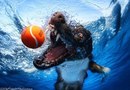 Іван Козак фотография #30 (источник - https://vk.com/id145426661)