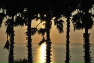 Игорь Муравьев фотография #13 (источник - https://vk.com/id1831208)