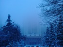 Фотография Старостина Александра