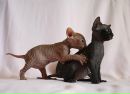 Фотография Мухлыниной Марины